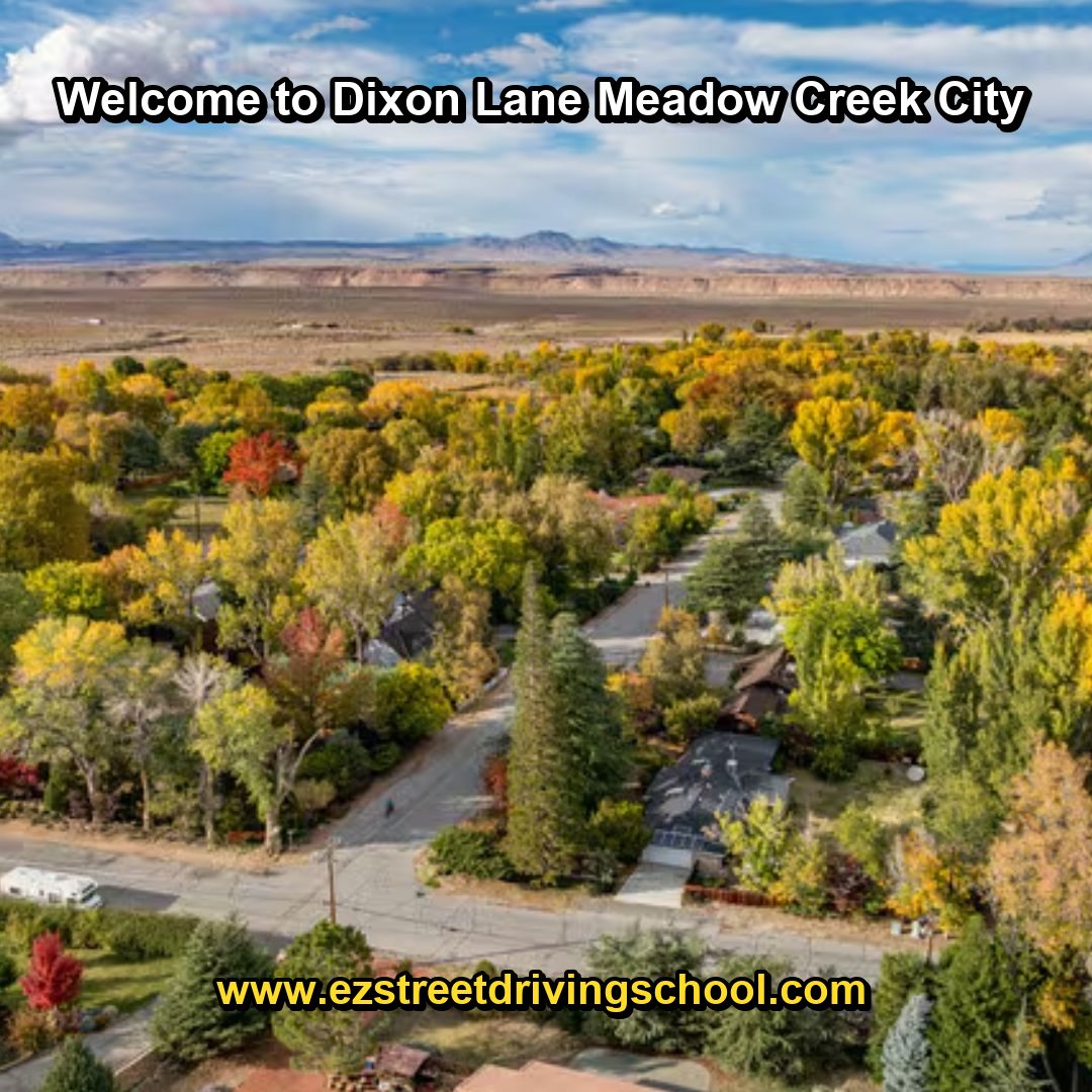 Driving Lessons in Dixon Lane-Meadow Creek